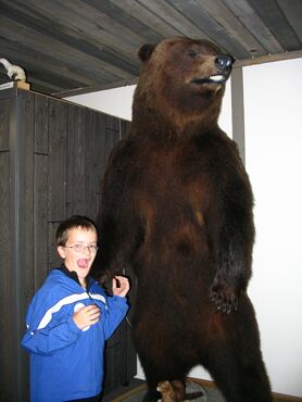 Click to See Next Image