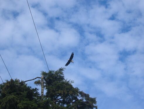 Click to See Next Image