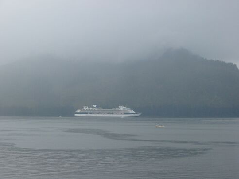 Click to See Next Image