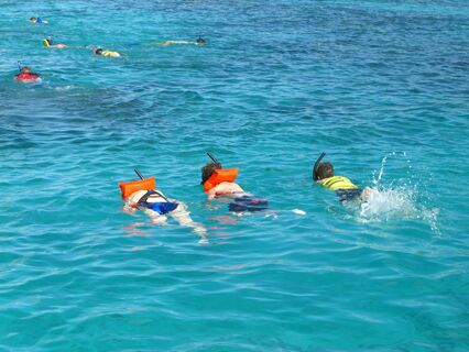 Click to See Next Image