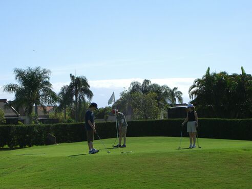 Click to See Next Image