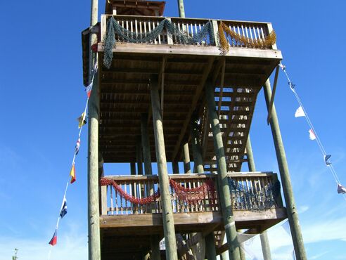 Click to See Next Image