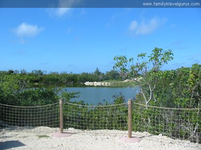 Click to See Next Image