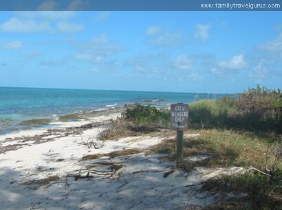 Click to See Next Image