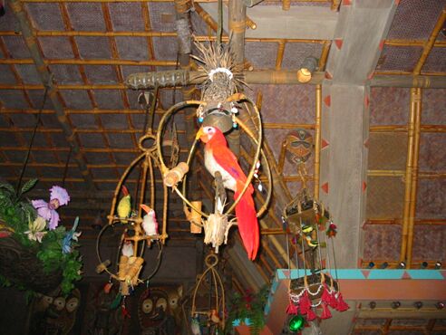 Click to See Next Image