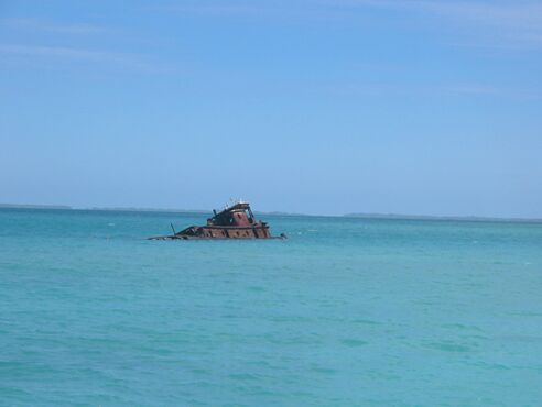 Click to See Next Image