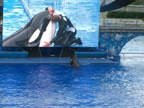 Click to See Next Image