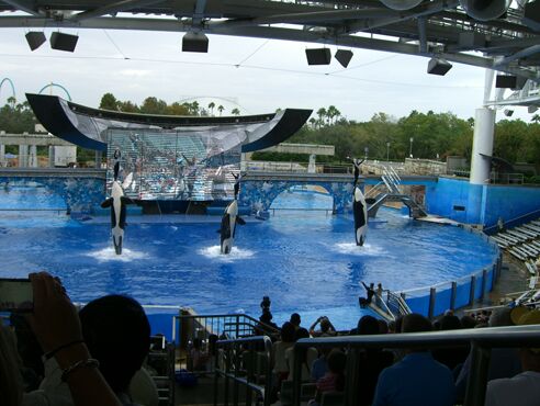 Click to See Next Image