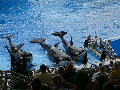 Click to See Next Image