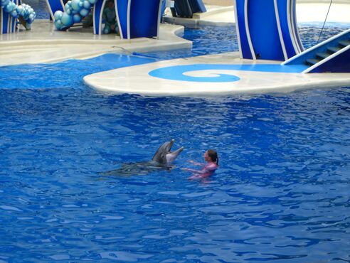 Click to See Next Image