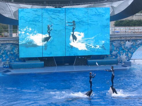 Click to See Next Image